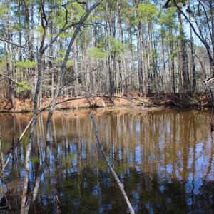 Photo of UNDER CONTRACT!  14.24 Acres of Creek Front Residential Land For Sale in Tyrrell County NC!