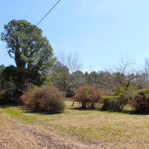 Photo of UNDER CONTRACT!  14.24 Acres of Creek Front Residential Land For Sale in Tyrrell County NC!