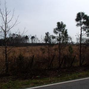 Photo of 32 Acres of Farm and Timber Land For Sale in Nash County NC!