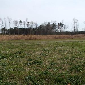 Photo of 32 Acres of Farm and Timber Land For Sale in Nash County NC!