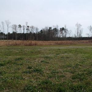 Photo of 32 Acres of Farm and Timber Land For Sale in Nash County NC!
