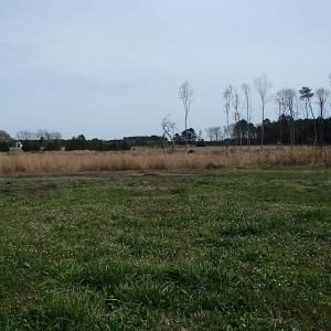 Photo of 32 Acres of Farm and Timber Land For Sale in Nash County NC!