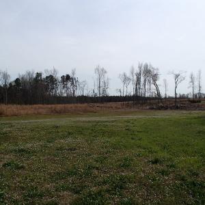 Photo of 32 Acres of Farm and Timber Land For Sale in Nash County NC!