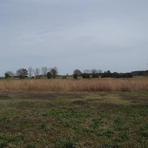 Photo of 32 Acres of Farm and Timber Land For Sale in Nash County NC!