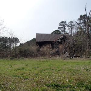 Photo of 32 Acres of Farm and Timber Land For Sale in Nash County NC!