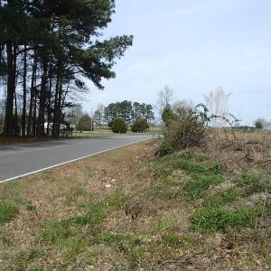 Photo of 32 Acres of Farm and Timber Land For Sale in Nash County NC!
