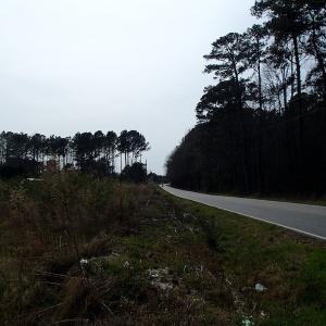 Photo of 32 Acres of Farm and Timber Land For Sale in Nash County NC!
