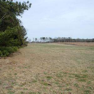 Photo of 32 Acres of Farm and Timber Land For Sale in Nash County NC!