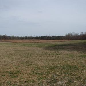 Photo of 32 Acres of Farm and Timber Land For Sale in Nash County NC!
