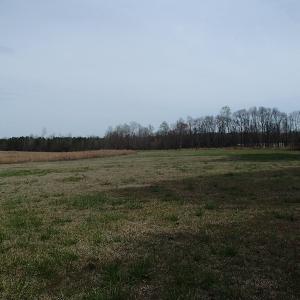 Photo of 32 Acres of Farm and Timber Land For Sale in Nash County NC!