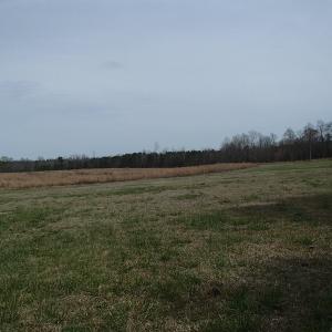 Photo of 32 Acres of Farm and Timber Land For Sale in Nash County NC!