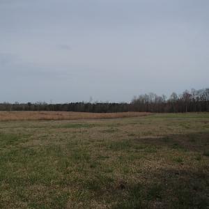 Photo of 32 Acres of Farm and Timber Land For Sale in Nash County NC!