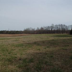 Photo of 32 Acres of Farm and Timber Land For Sale in Nash County NC!