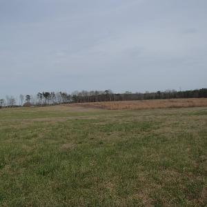Photo of 32 Acres of Farm and Timber Land For Sale in Nash County NC!