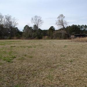 Photo of 32 Acres of Farm and Timber Land For Sale in Nash County NC!