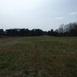 Photo of 32 Acres of Farm and Timber Land For Sale in Nash County NC!