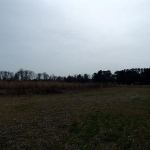 Photo of 32 Acres of Farm and Timber Land For Sale in Nash County NC!
