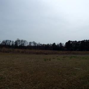 Photo of 32 Acres of Farm and Timber Land For Sale in Nash County NC!