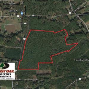 Photo of UNDER CONTRACT!  77 Acres of  Hunting and Investment Land for Sale in Mathews County VA!