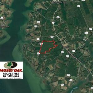 Photo of UNDER CONTRACT!  77 Acres of  Hunting and Investment Land for Sale in Mathews County VA!