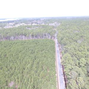 Photo of UNDER CONTRACT!  77 Acres of  Hunting and Investment Land for Sale in Mathews County VA!