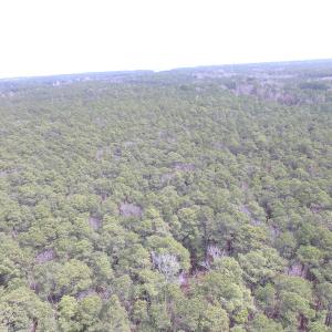 Photo of UNDER CONTRACT!  77 Acres of  Hunting and Investment Land for Sale in Mathews County VA!