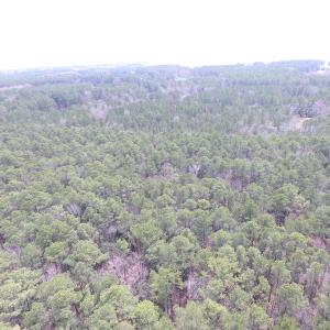 Photo of UNDER CONTRACT!  77 Acres of  Hunting and Investment Land for Sale in Mathews County VA!