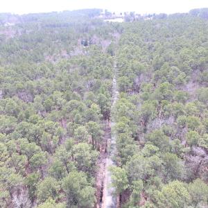 Photo of UNDER CONTRACT!  77 Acres of  Hunting and Investment Land for Sale in Mathews County VA!