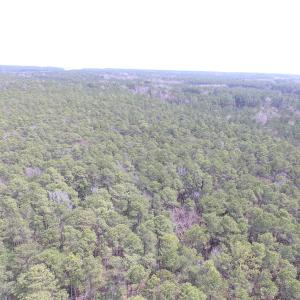 Photo of UNDER CONTRACT!  77 Acres of  Hunting and Investment Land for Sale in Mathews County VA!