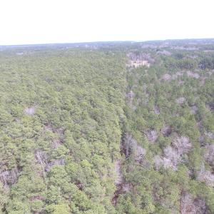 Photo of UNDER CONTRACT!  77 Acres of  Hunting and Investment Land for Sale in Mathews County VA!