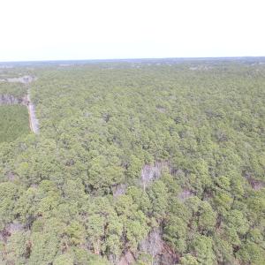 Photo of UNDER CONTRACT!  77 Acres of  Hunting and Investment Land for Sale in Mathews County VA!