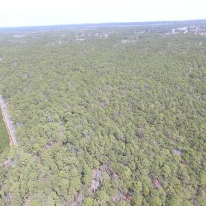 Photo of UNDER CONTRACT!  77 Acres of  Hunting and Investment Land for Sale in Mathews County VA!