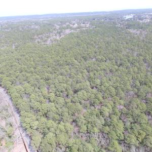 Photo of UNDER CONTRACT!  77 Acres of  Hunting and Investment Land for Sale in Mathews County VA!