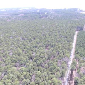 Photo of UNDER CONTRACT!  77 Acres of  Hunting and Investment Land for Sale in Mathews County VA!