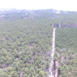 Photo of UNDER CONTRACT!  77 Acres of  Hunting and Investment Land for Sale in Mathews County VA!