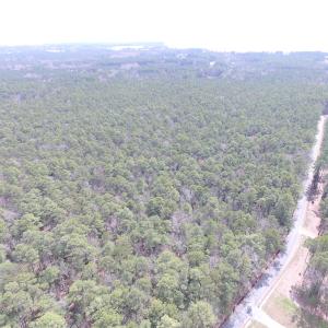Photo of UNDER CONTRACT!  77 Acres of  Hunting and Investment Land for Sale in Mathews County VA!