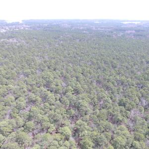 Photo of UNDER CONTRACT!  77 Acres of  Hunting and Investment Land for Sale in Mathews County VA!