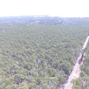 Photo of UNDER CONTRACT!  77 Acres of  Hunting and Investment Land for Sale in Mathews County VA!