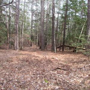 Photo of UNDER CONTRACT!  77 Acres of  Hunting and Investment Land for Sale in Mathews County VA!