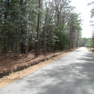 Photo of UNDER CONTRACT!  77 Acres of  Hunting and Investment Land for Sale in Mathews County VA!