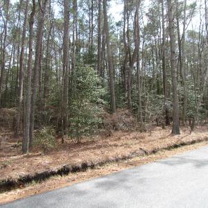 Photo of UNDER CONTRACT!  77 Acres of  Hunting and Investment Land for Sale in Mathews County VA!