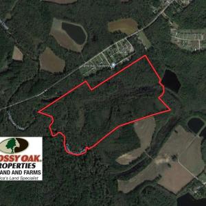 Photo of UNDER CONTRACT!  115 Acres of Hunting Land For Sale in Wilson County NC!