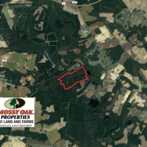 Photo of UNDER CONTRACT!  115 Acres of Hunting Land For Sale in Wilson County NC!