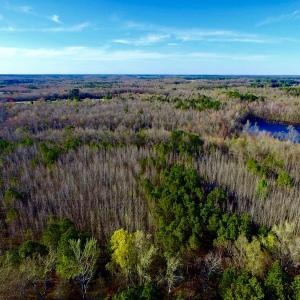 Photo of UNDER CONTRACT!  115 Acres of Hunting Land For Sale in Wilson County NC!