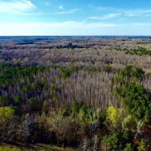 Photo of UNDER CONTRACT!  115 Acres of Hunting Land For Sale in Wilson County NC!