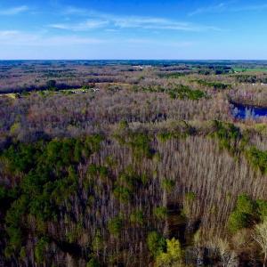 Photo of UNDER CONTRACT!  115 Acres of Hunting Land For Sale in Wilson County NC!