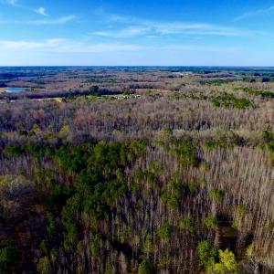 Photo of UNDER CONTRACT!  115 Acres of Hunting Land For Sale in Wilson County NC!