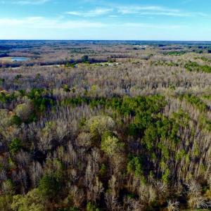 Photo of UNDER CONTRACT!  115 Acres of Hunting Land For Sale in Wilson County NC!