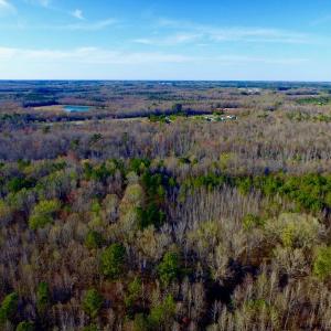 Photo of UNDER CONTRACT!  115 Acres of Hunting Land For Sale in Wilson County NC!