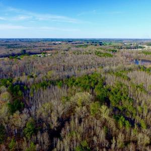 Photo of UNDER CONTRACT!  115 Acres of Hunting Land For Sale in Wilson County NC!